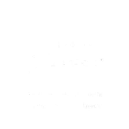 Rodesa